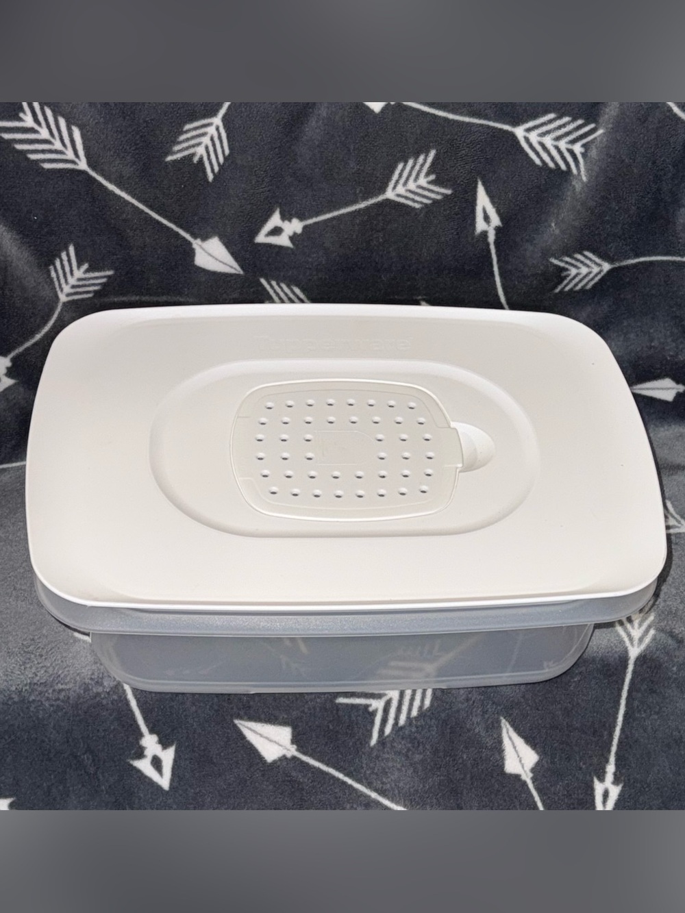 Tupperware CheeseKeeper Like New!